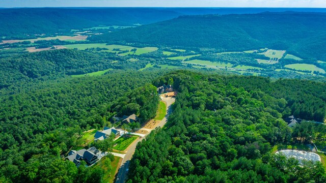 0 Crockett Pointe J179, Jasper, TN 37347 - photo 20