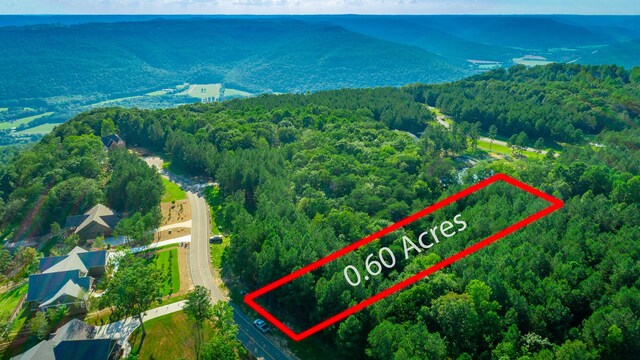 0 Crockett Pointe J179, Jasper, TN 37347 - photo 1