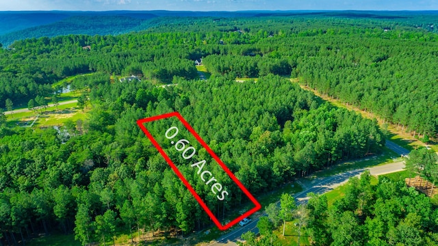 0 Crockett Pointe J179, Jasper, TN 37347 - photo 2