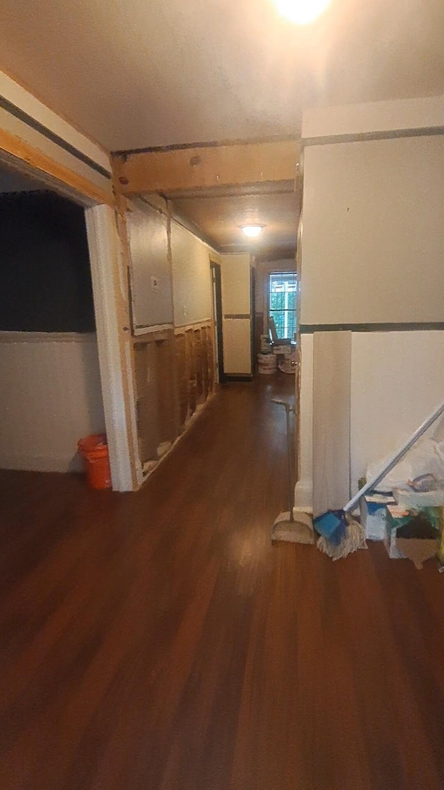 665 Scott Rd, Signal Mountain, TN 37377 - hallway with dark wood-style floors and wainscoting