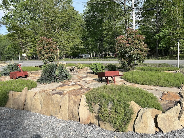 308 Bennie Camp Rd, Dunlap, TN 37327 - view of community