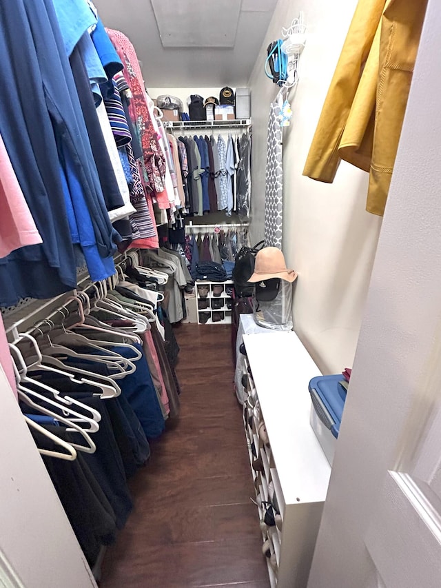 308 Bennie Camp Rd, Dunlap, TN 37327 - walk in closet with wood finished floors and attic access