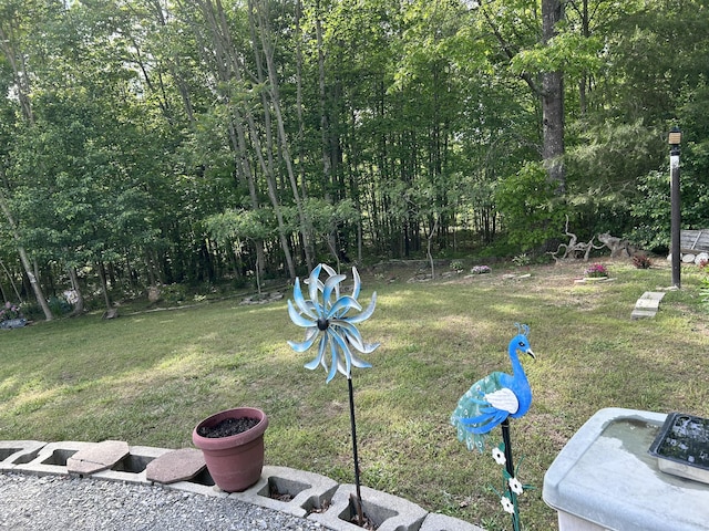 308 Bennie Camp Rd, Dunlap, TN 37327 - view of grassy yard