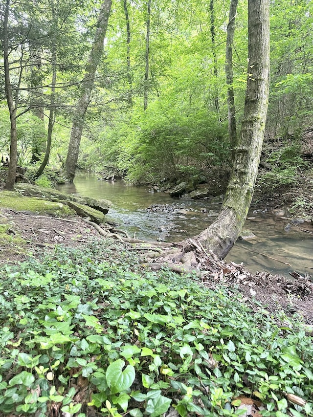 413 Fern Trl, Signal Mountain, TN 37377 - view of wooded area