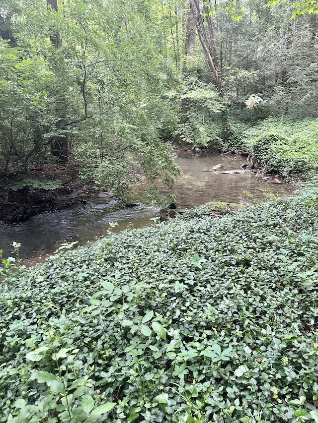 413 Fern Trl, Signal Mountain, TN 37377 - view of local wilderness