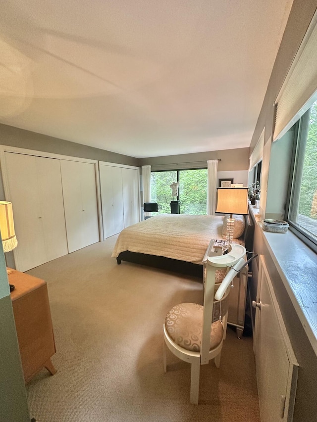 413 Fern Trl, Signal Mountain, TN 37377 - carpeted bedroom with multiple windows and two closets