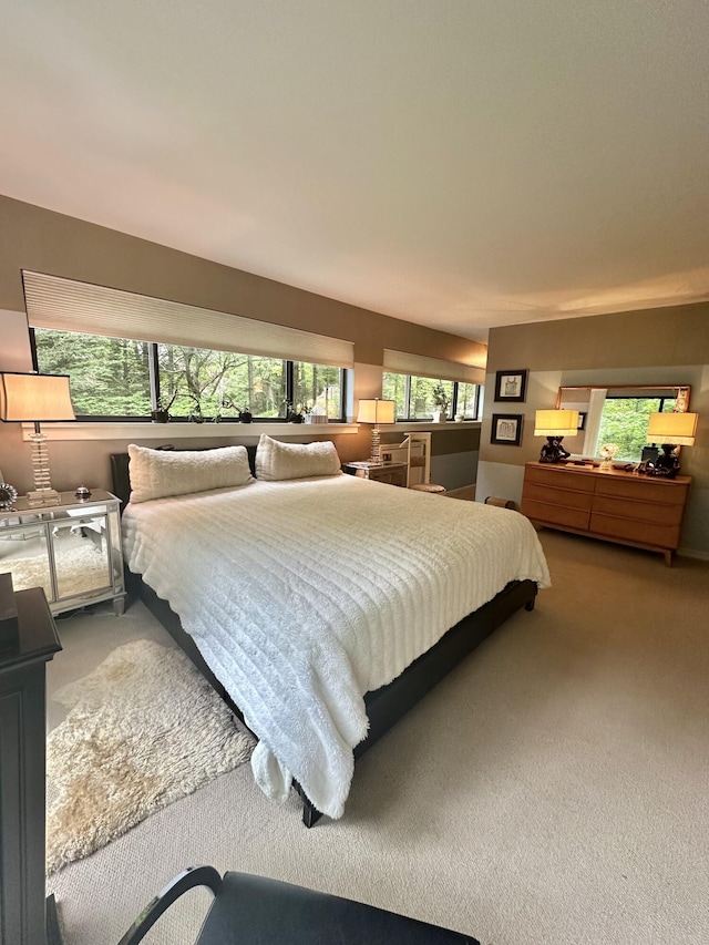 413 Fern Trl, Signal Mountain, TN 37377 - bedroom featuring carpet floors