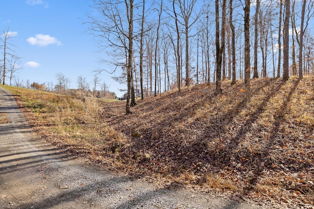 0 Litchfield Ln, Cleveland, TN 37312