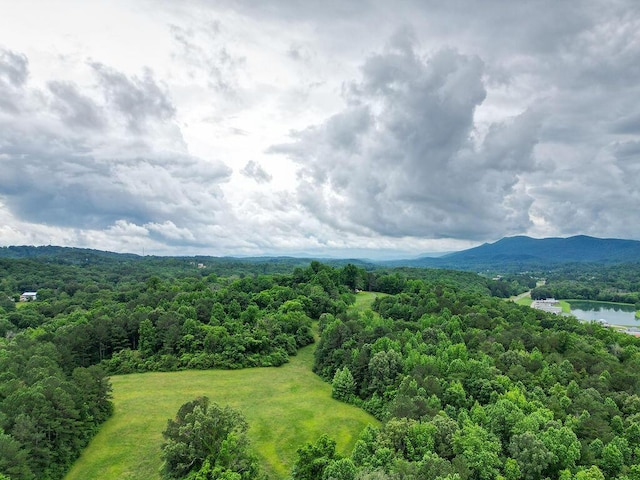 4299 Happy Valley Rd, Flintstone, GA 30725 - photo 19