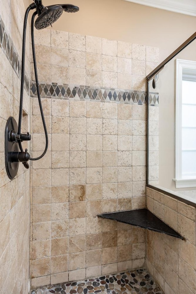 8650 Homecoming Dr, Chattanooga, TN 37421 - bathroom featuring tiled shower
