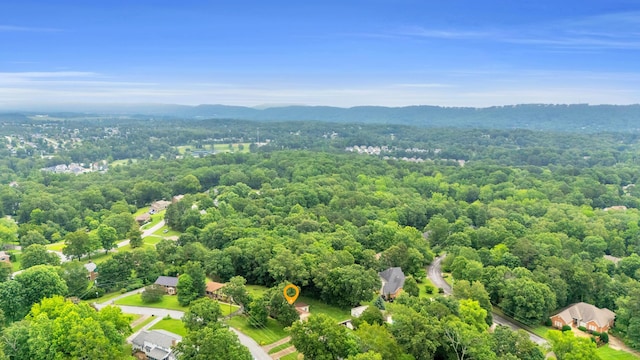 2434 Haven Cove Ln, Chattanooga, TN 37421 - aerial view of a heavily wooded area