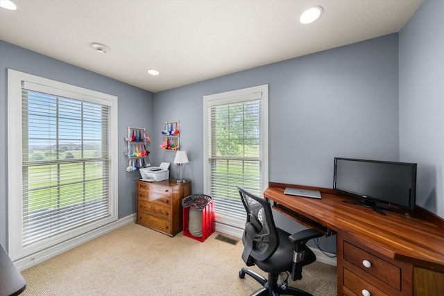 727 E Dumplin Valley Rd, Jefferson City, TN 37760 - carpeted home office featuring plenty of natural light, baseboards, and recessed lighting