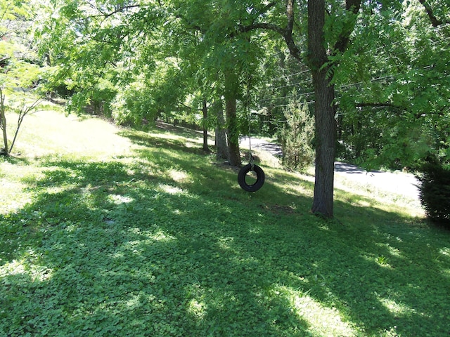 895 W Schmitt Rd, Rossville, GA 30741 - view of green lawn