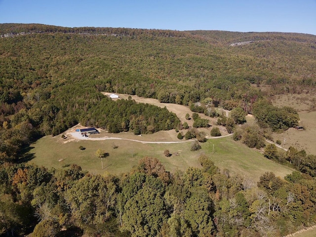 141 Humble Cemetery Rd Unit 134.34Acres, Pikeville, TN 37367 - photo 3