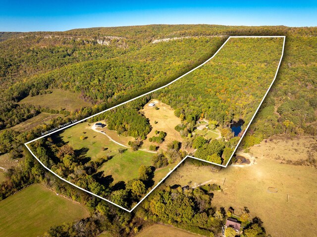 141 Humble Cemetery Rd Unit 134.34Acres, Pikeville, TN 37367 - photo 1