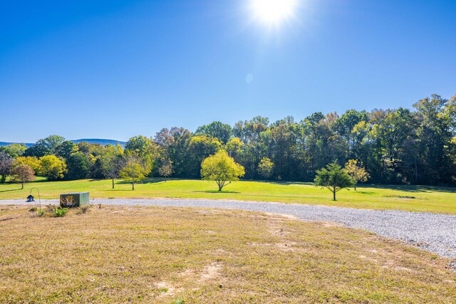 141 Humble Cemetery Rd Unit 134.34Acres, Pikeville, TN 37367 - photo 43