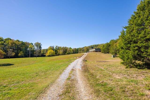 141 Humble Cemetery Rd Unit 134.34Acres, Pikeville, TN 37367 - photo 44