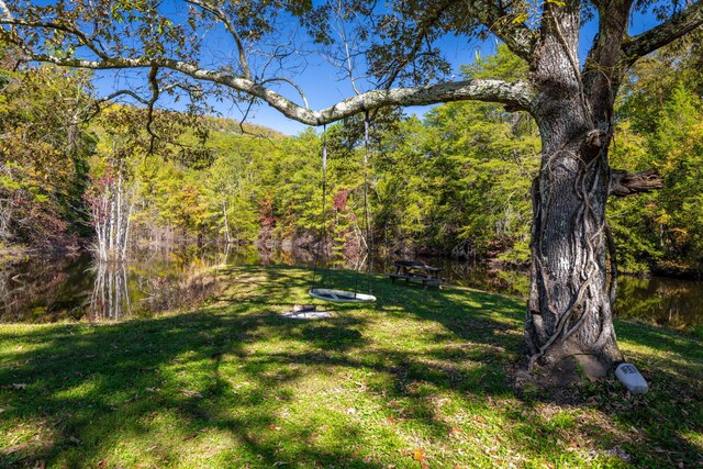 141 Humble Cemetery Rd Unit 134.34Acres, Pikeville, TN 37367 - photo 48