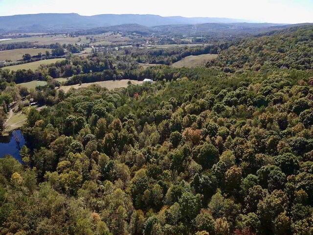 141 Humble Cemetery Rd Unit 134.34Acres, Pikeville, TN 37367 - photo 54