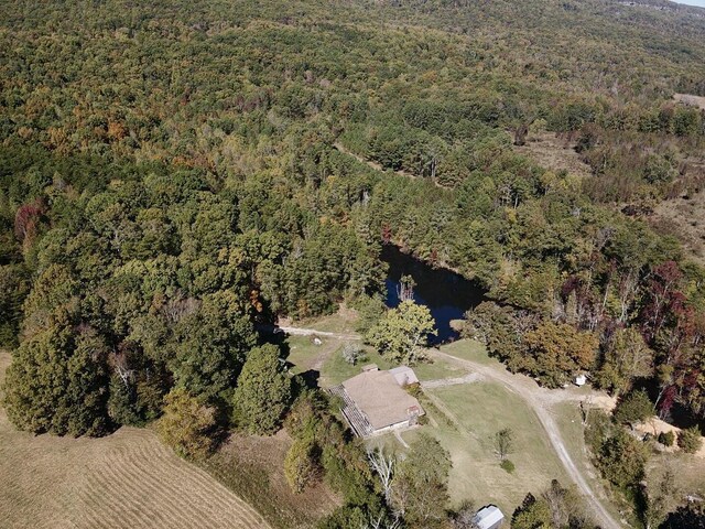 141 Humble Cemetery Rd Unit 134.34Acres, Pikeville, TN 37367 - photo 60