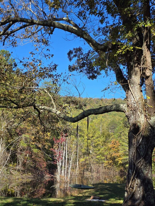 141 Humble Cemetery Rd Unit 134.34Acres, Pikeville, TN 37367 - photo 71