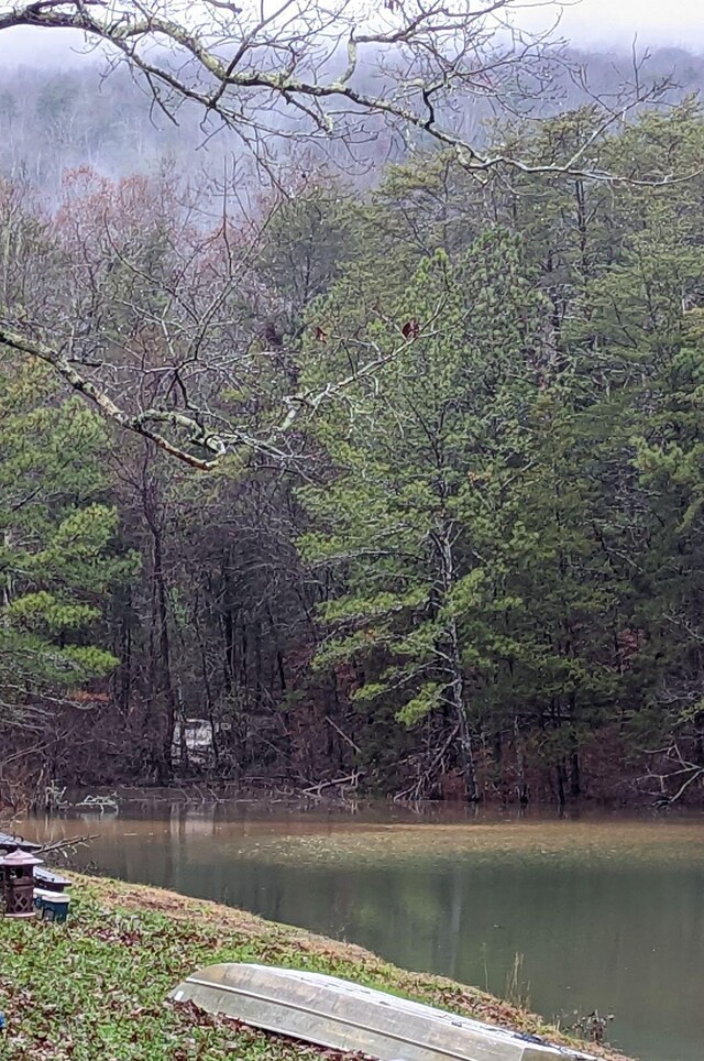 141 Humble Cemetery Rd Unit 134.34Acres, Pikeville, TN 37367 - photo 72