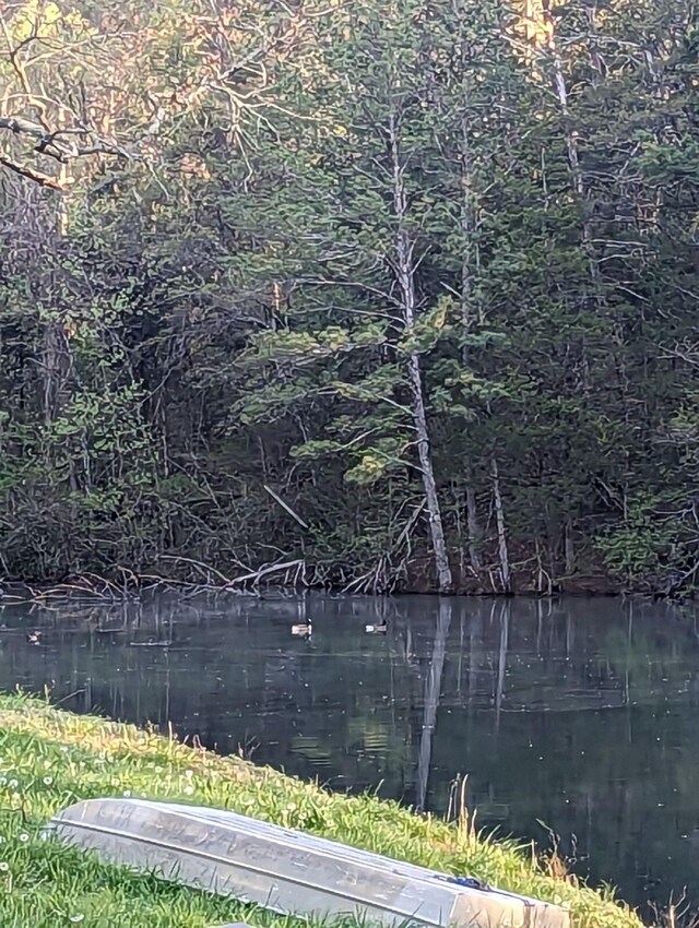 141 Humble Cemetery Rd Unit 134.34Acres, Pikeville, TN 37367 - photo 75