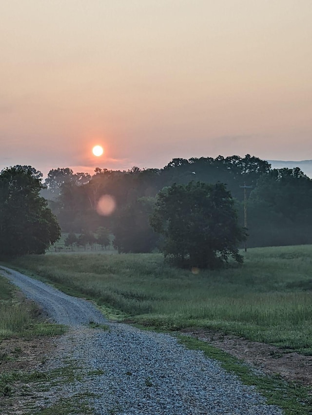 141 Humble Cemetery Rd Unit 134.34Acres, Pikeville, TN 37367 - photo 80