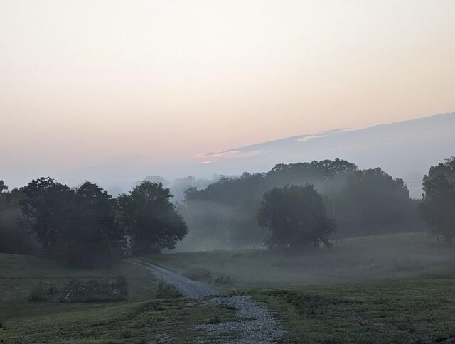 141 Humble Cemetery Rd Unit 134.34Acres, Pikeville, TN 37367 - photo 85