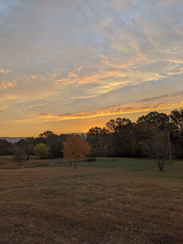 141 Humble Cemetery Rd Unit 134.34Acres, Pikeville, TN 37367 - photo 87