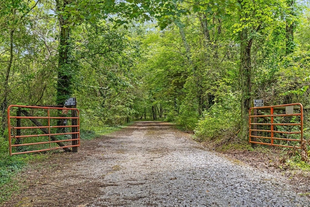 752 County Road 372, Ider, AL 35981 - photo 7