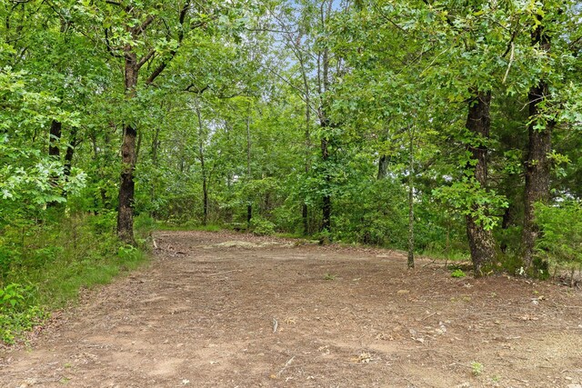752 County Road 372, Ider, AL 35981 - photo 10