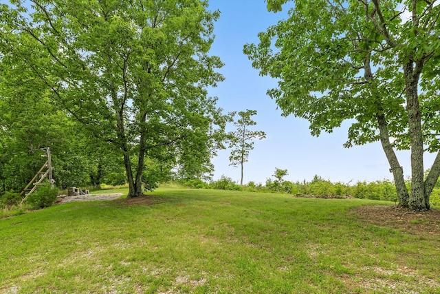 752 County Road 372, Ider, AL 35981 - photo 27