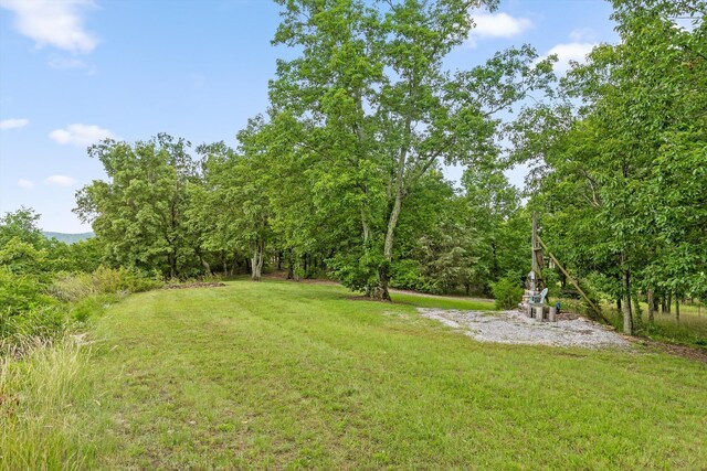 752 County Road 372, Ider, AL 35981 - photo 29