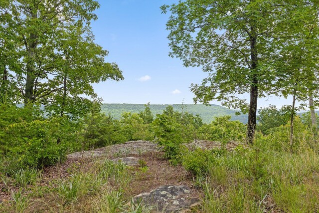 752 County Road 372, Ider, AL 35981 - photo 30