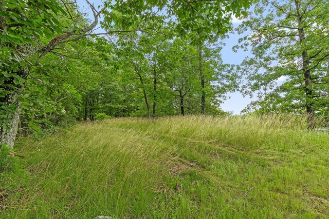 752 County Road 372, Ider, AL 35981 - photo 31