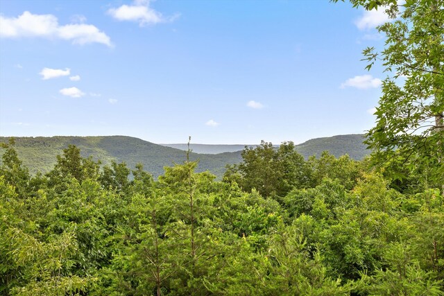 752 County Road 372, Ider, AL 35981 - photo 33