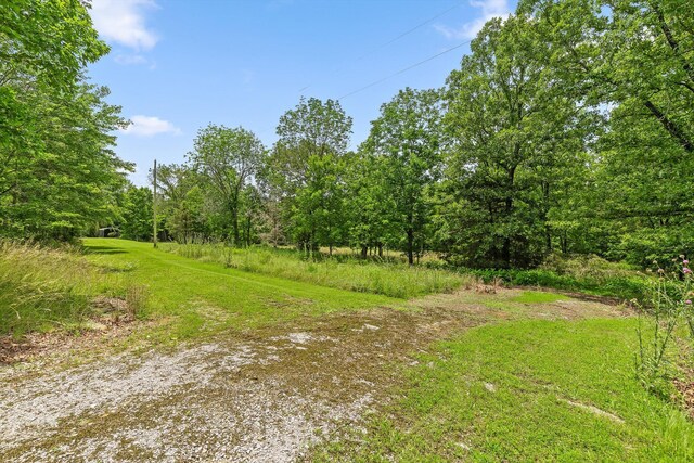 752 County Road 372, Ider, AL 35981 - photo 35