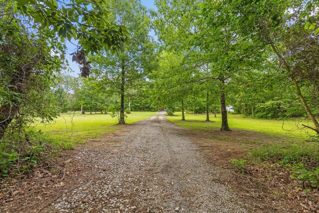 752 County Road 372, Ider, AL 35981 - photo 38