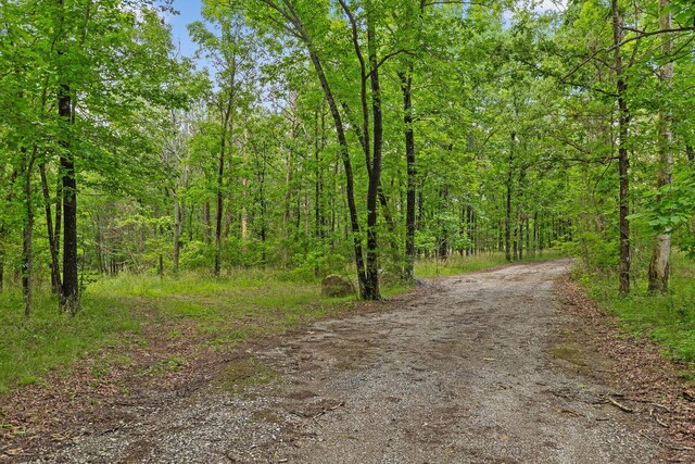 752 County Road 372, Ider, AL 35981 - photo 39