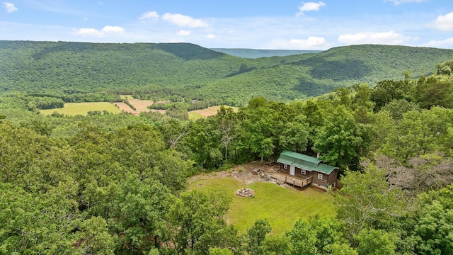 752 County Road 372, Ider, AL 35981 - photo 41