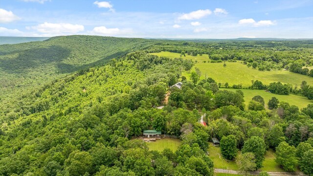 752 County Road 372, Ider, AL 35981 - photo 43