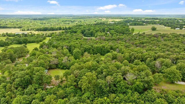 752 County Road 372, Ider, AL 35981 - photo 45