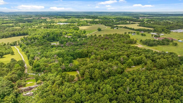 752 County Road 372, Ider, AL 35981 - photo 46