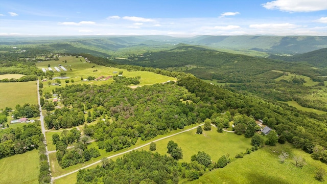 752 County Road 372, Ider, AL 35981 - photo 6