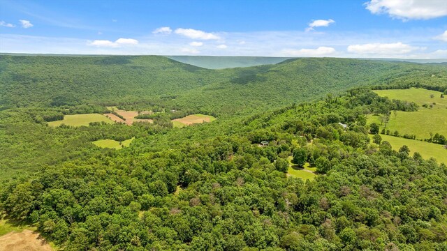 752 County Road 372, Ider, AL 35981 - photo 54