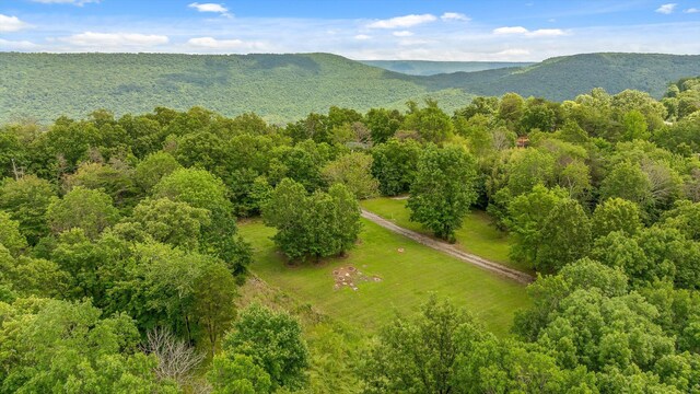 752 County Road 372, Ider, AL 35981 - photo 59