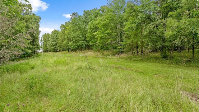 752 County Road 372, Ider, AL 35981 - photo 61