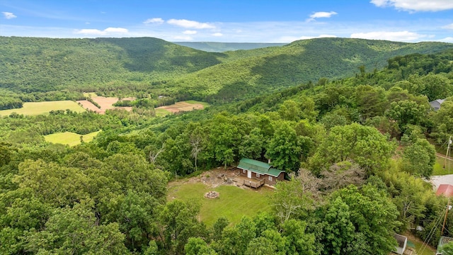 752 County Road 372, Ider, AL 35981 - photo 1
