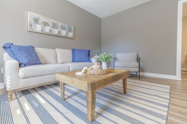 4907 Mccallie Ave, Apison, TN 37302 - living area featuring wood finished floors and baseboards